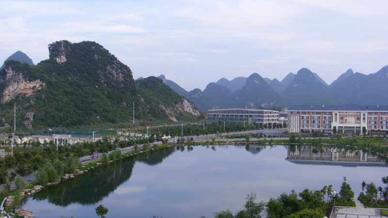 行业现状：多元化竞争下的选择难题