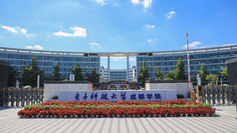 快恢复二极管：揭秘其价格背后的技术奥秘**