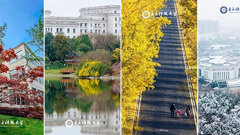 MLCC电容缺货预警：2025年，我们该如何应对？**