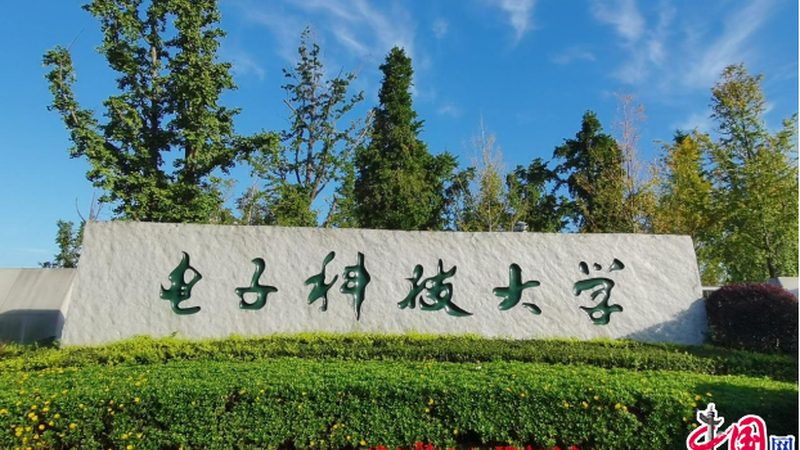 揭秘成都电子代工材质公司：关键要素与选型要点